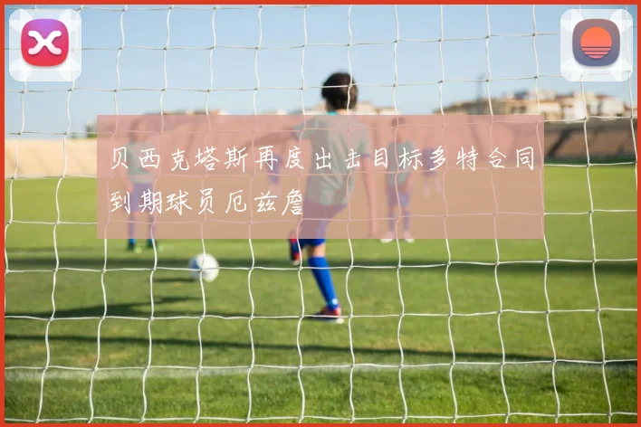 贝西克塔斯再度出击目标多特合同到期球员厄兹詹