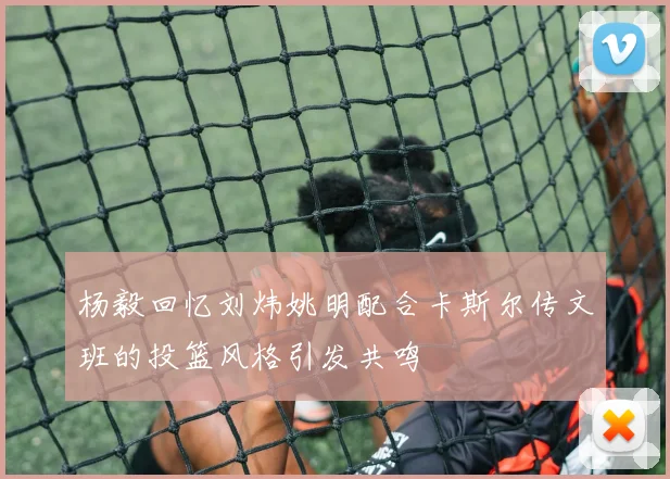 杨毅回忆刘炜姚明配合卡斯尔传文班的投篮风格引发共鸣
